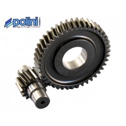 Secundaire Overbrenging Polini 14/43 | Piaggio 4T